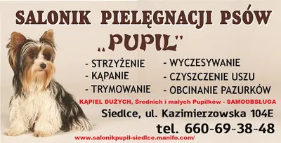 Salonik ,,PUPIL" strzyżenie i pielęgnacja psów